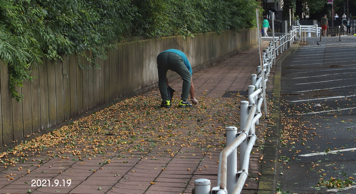 f:id:moritarou3:20210919164653j:plain