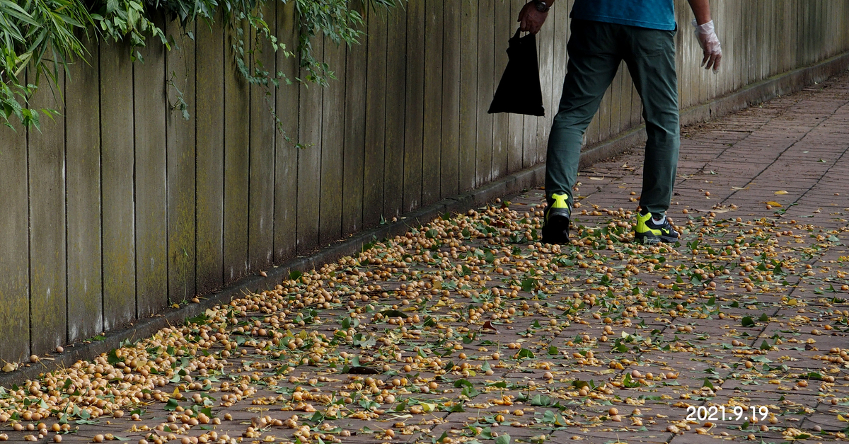 f:id:moritarou3:20210919164827j:plain