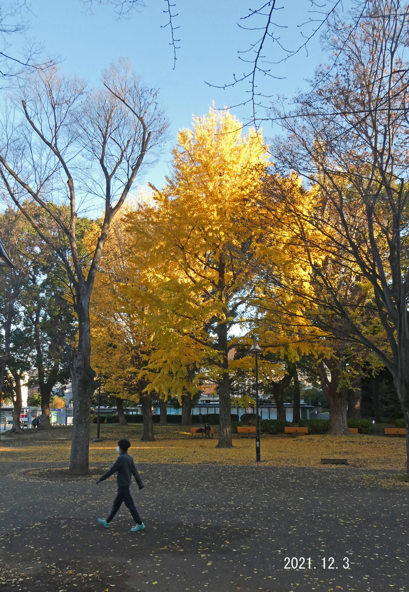 f:id:moritarou3:20211203124238j:plain