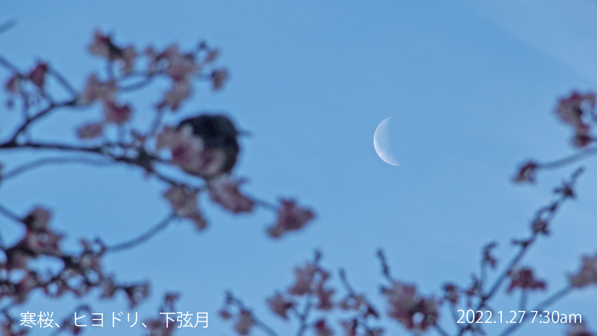 f:id:moritarou3:20220128105604j:plain