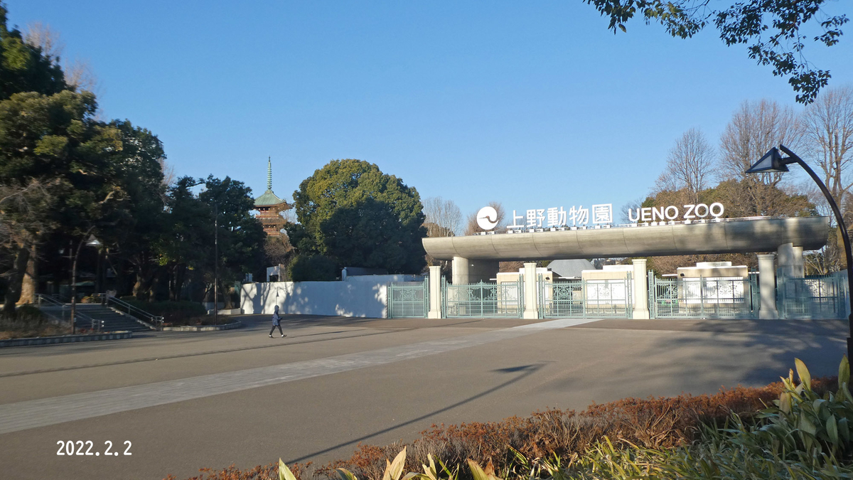 f:id:moritarou3:20220203090348j:plain