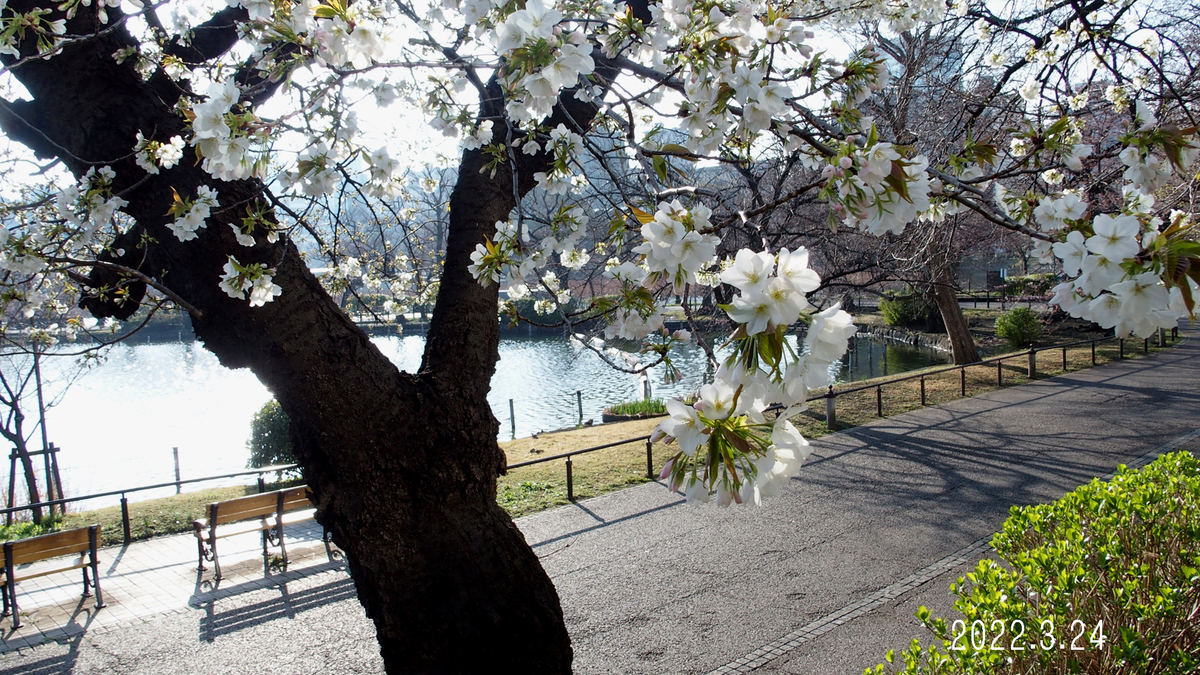 f:id:moritarou3:20220325131840j:plain
