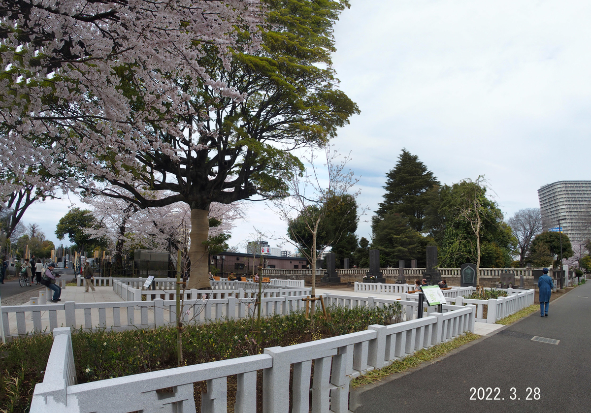f:id:moritarou3:20220330110311j:plain