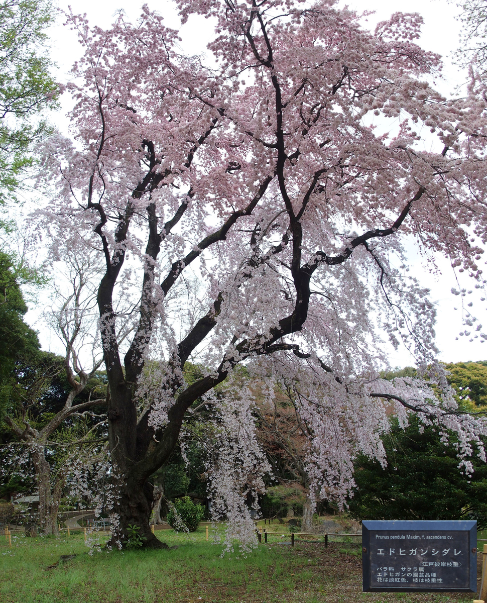 f:id:moritarou3:20220330113132j:plain