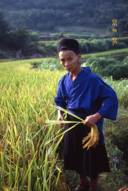 f:id:moritayuuzou:20200727153508j:plain f:id:moritayuuzou:20200727153508j:plain