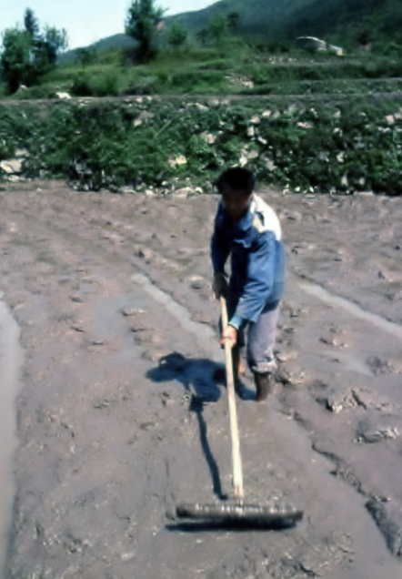 f:id:moritayuuzou:20210707200614j:plain