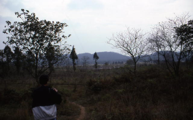 f:id:moritayuuzou:20210728125727j:plain