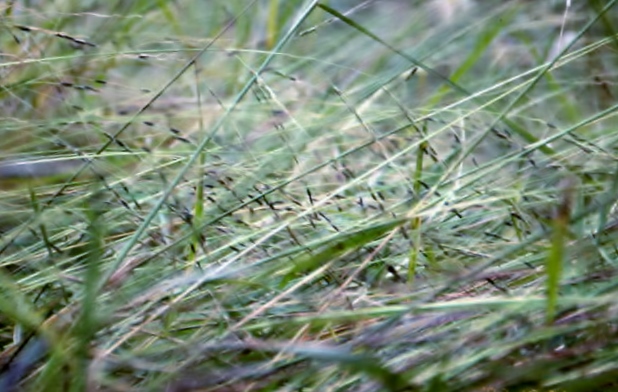 f:id:moritayuuzou:20210728125942j:plain