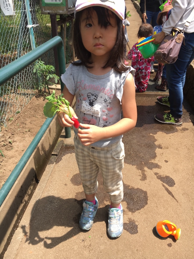 f:id:moritetote:20170514152847j:plain f:id:moritetote:20170514152847j:plain