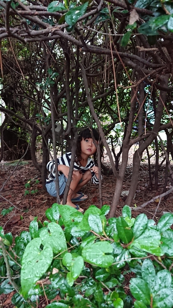 f:id:moritetote:20180926142811j:plain f:id:moritetote:20180926142811j:plain