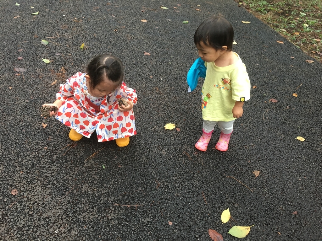 f:id:moritetote:20180926220850j:plain f:id:moritetote:20180926220850j:plain