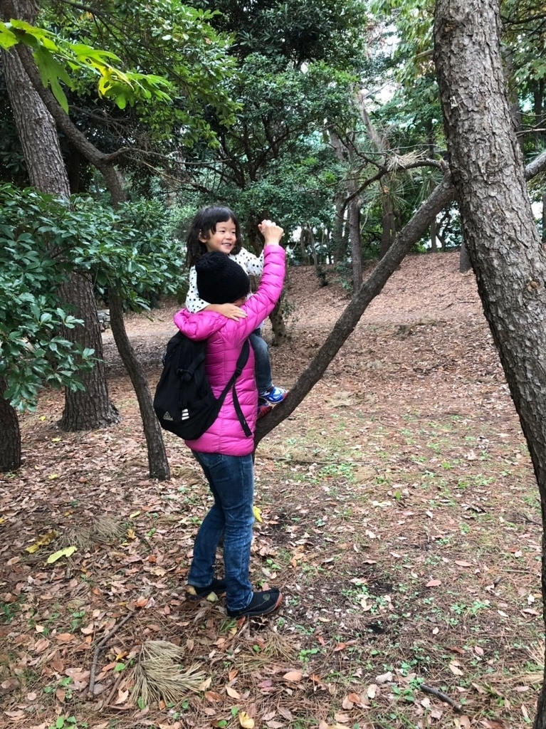 f:id:moritetote:20181118013804j:plain f:id:moritetote:20181118013804j:plain