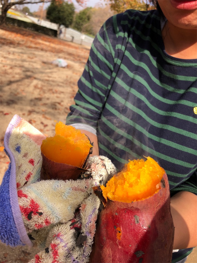 f:id:moritetote:20190116183936j:image f:id:moritetote:20190116183936j:image