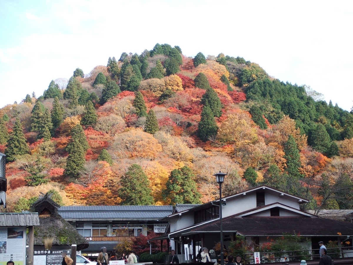 f:id:moritotora:20191125223319j:plain f:id:moritotora:20191125223319j:plain