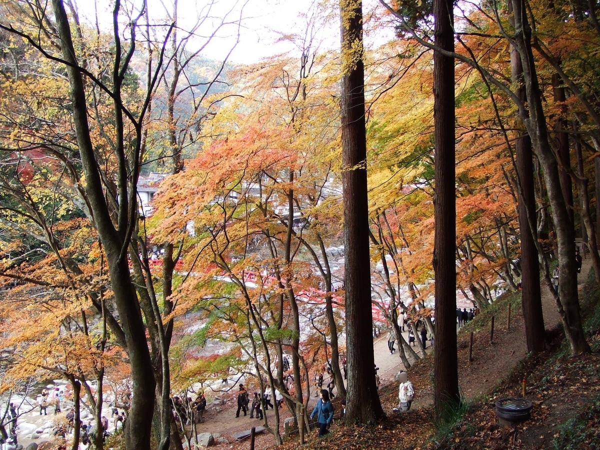 f:id:moritotora:20191125223353j:plain f:id:moritotora:20191125223353j:plain