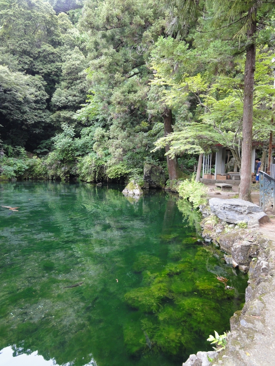 f:id:moritotora:20200523120301j:plain f:id:moritotora:20200523120301j:plain