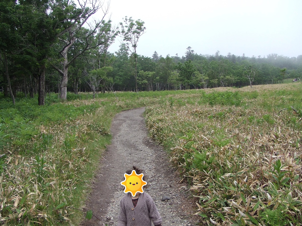 f:id:moritotora:20200525215633p:plain f:id:moritotora:20200525215633p:plain