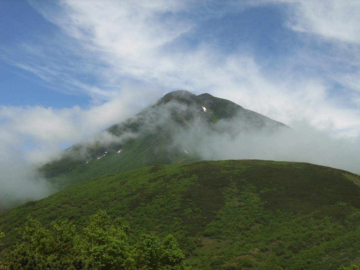 f:id:moritotora:20200525215820j:plain f:id:moritotora:20200525215820j:plain
