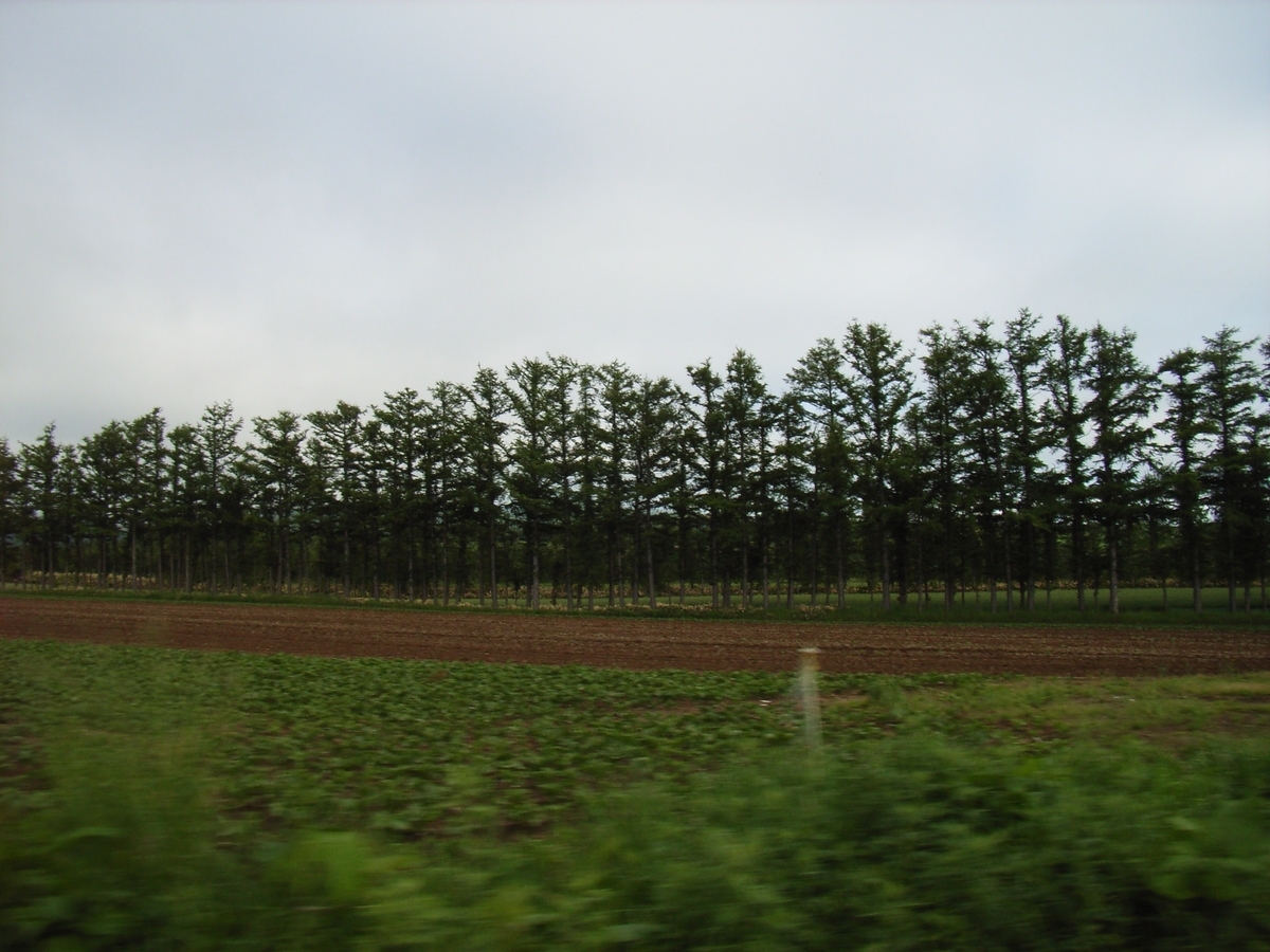 f:id:moritotora:20200526232506j:plain f:id:moritotora:20200526232506j:plain