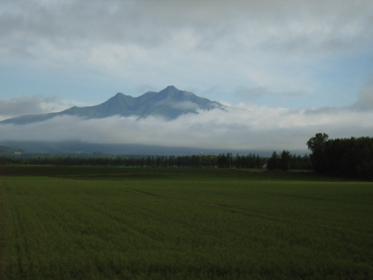 f:id:moritotora:20200526232518j:plain f:id:moritotora:20200526232518j:plain