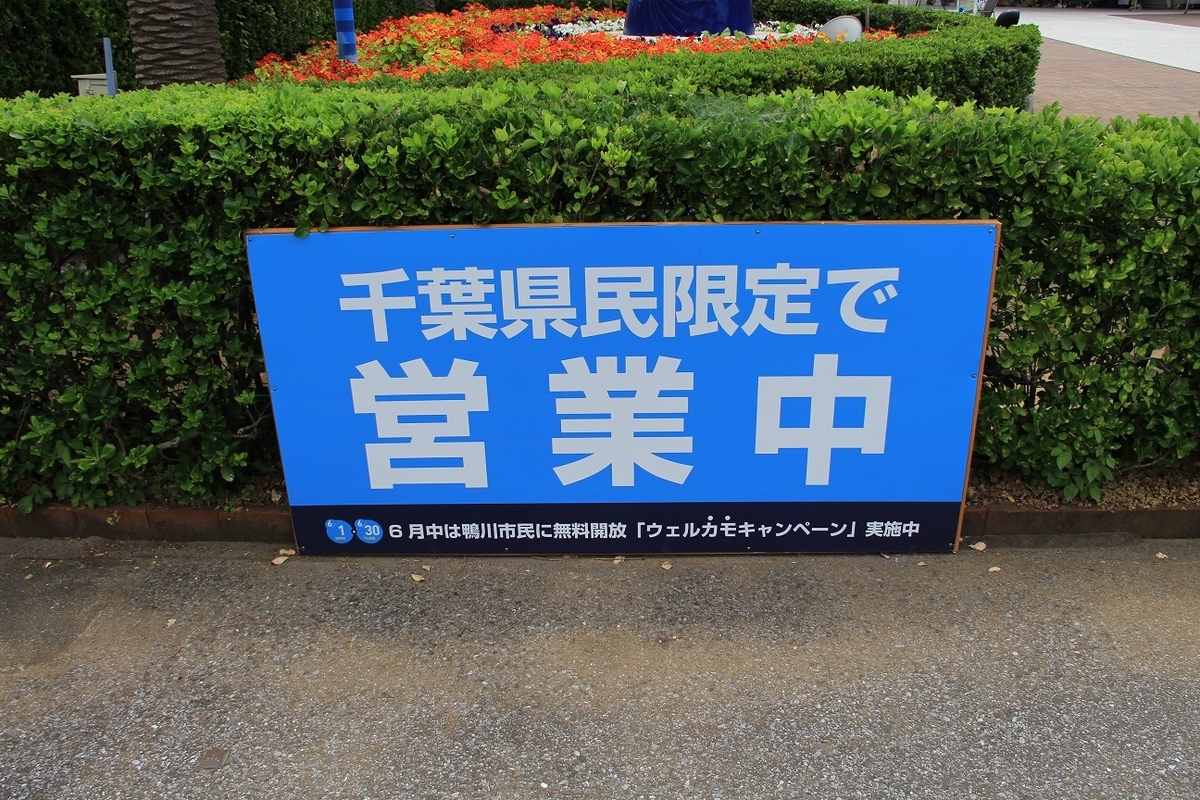 f:id:moritotora:20200607192804j:plain