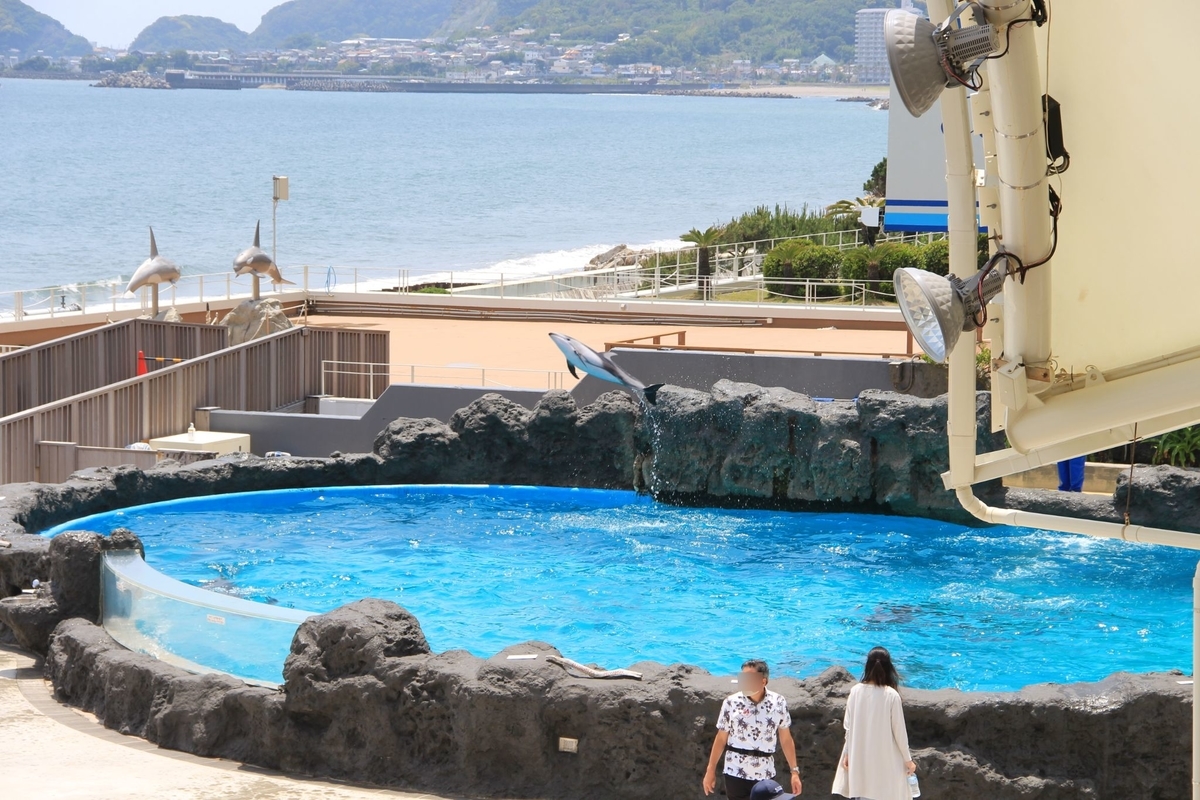 f:id:moritotora:20200607194942j:plain