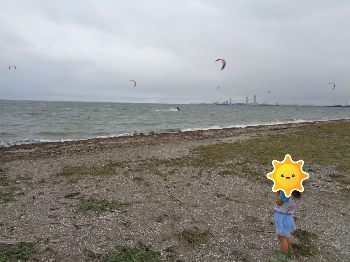 f:id:moritotora:20201011182921j:plain