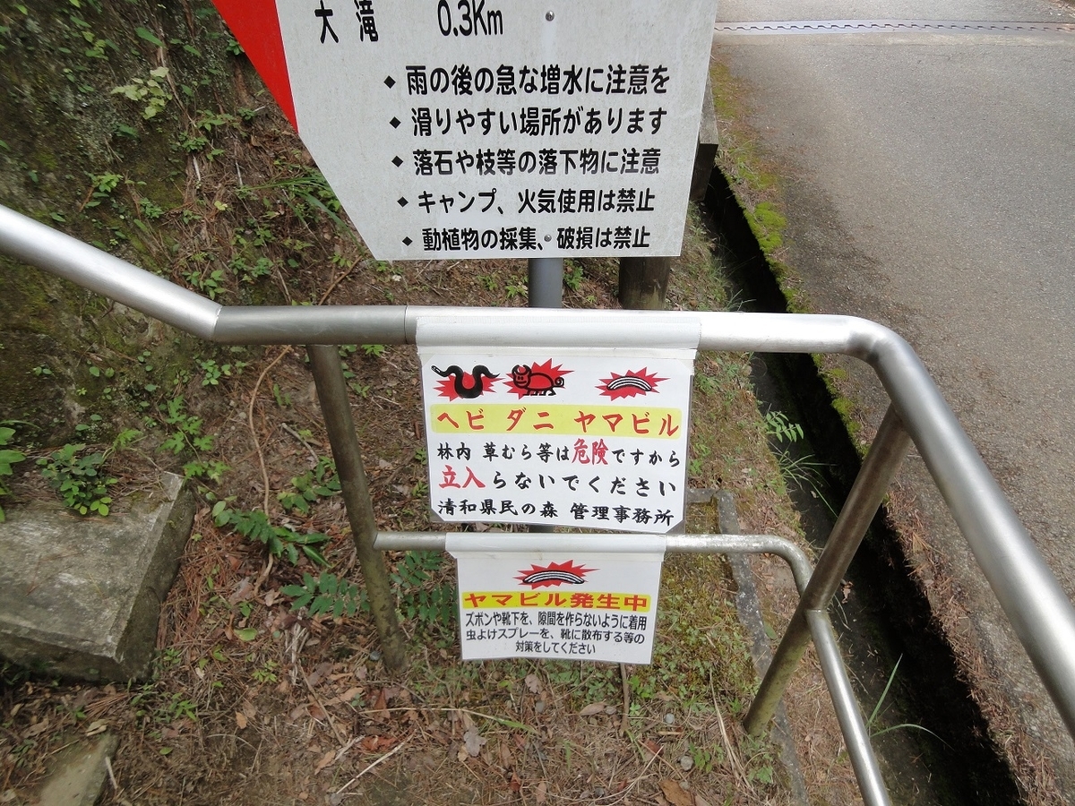 f:id:moritotora:20210802234018j:plain