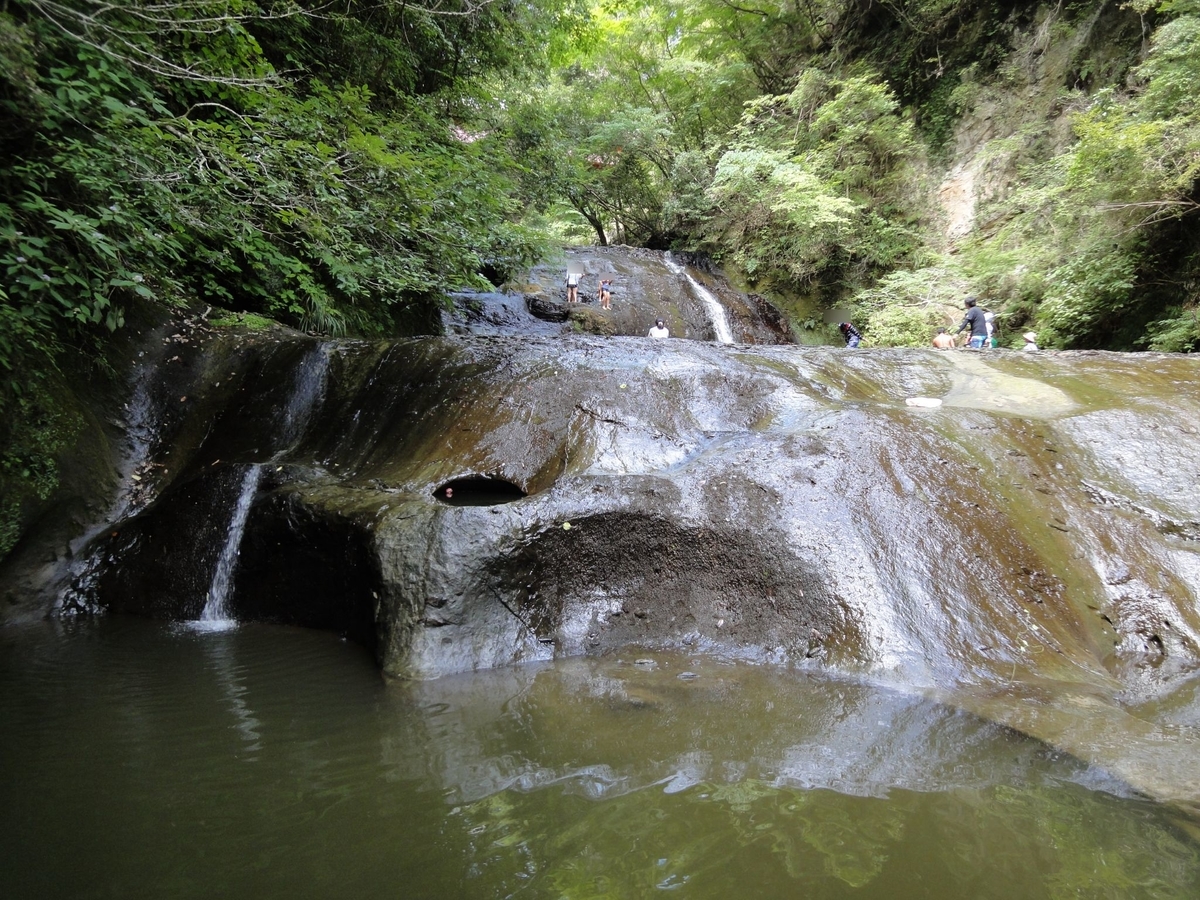 f:id:moritotora:20210802234133j:plain