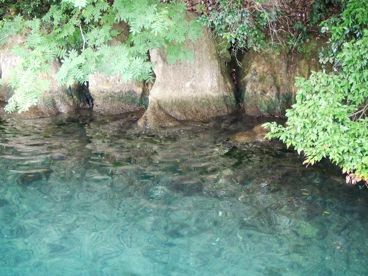 f:id:moritotora:20210804211200j:plain