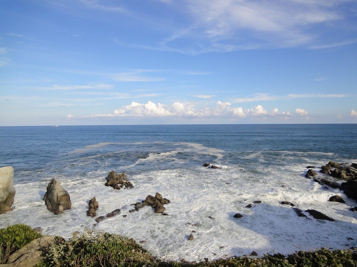 f:id:moritotora:20210815232202j:plain