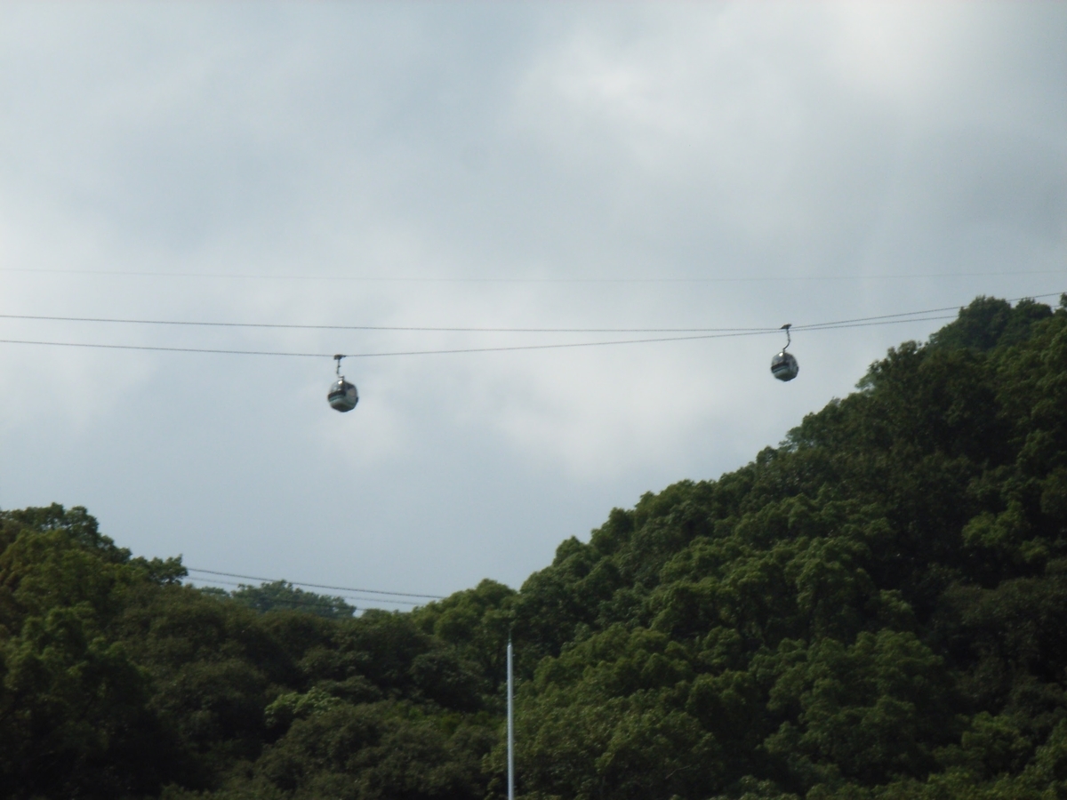 f:id:moritotora:20210824000045j:plain