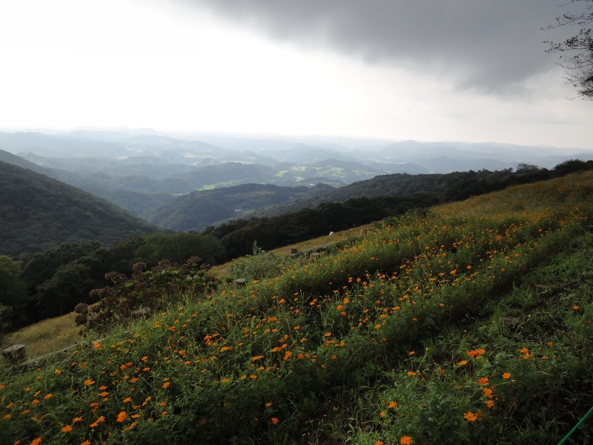 f:id:moritotora:20210901204035j:plain