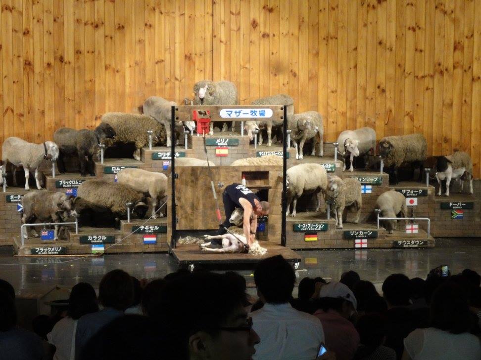 f:id:moritotora:20210901204244j:plain