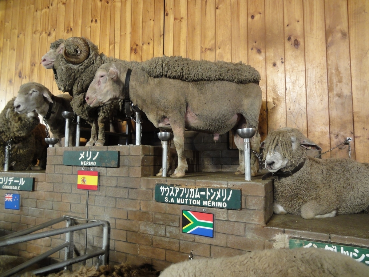 f:id:moritotora:20210901204255j:plain