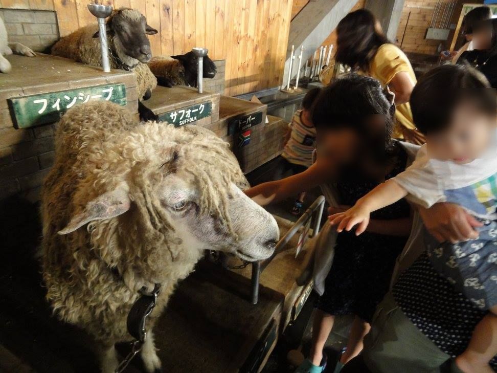 f:id:moritotora:20210901204314j:plain