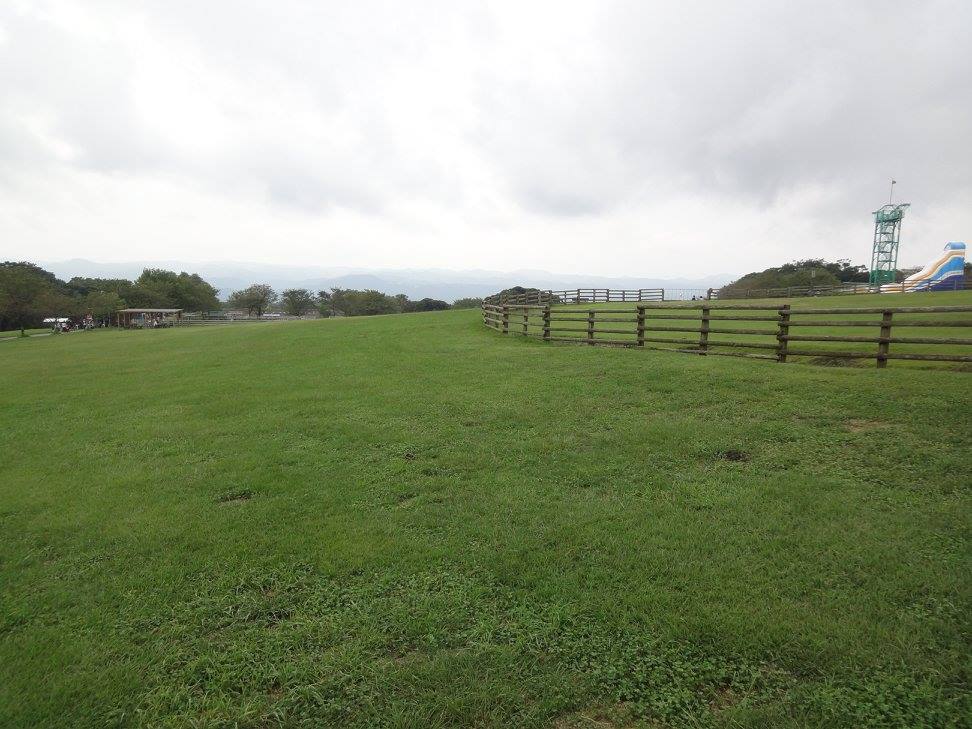 f:id:moritotora:20210901204324j:plain