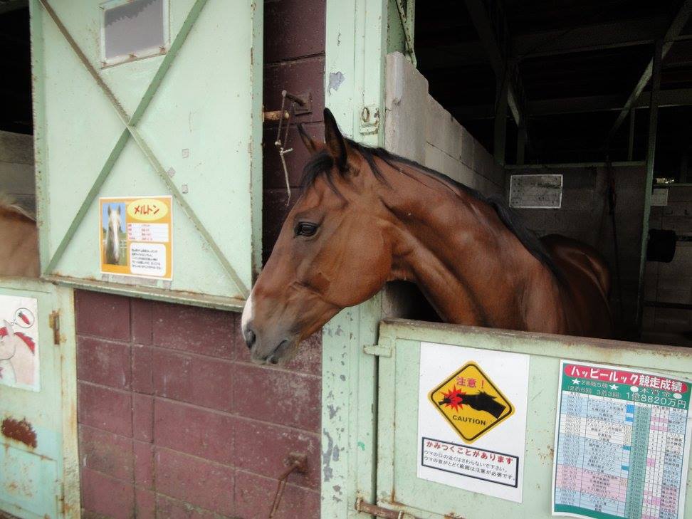 f:id:moritotora:20210901204339j:plain