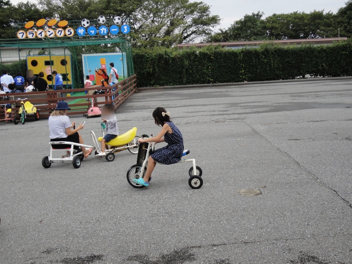 f:id:moritotora:20210901204353j:plain