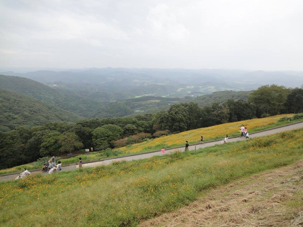 f:id:moritotora:20210901204435j:plain