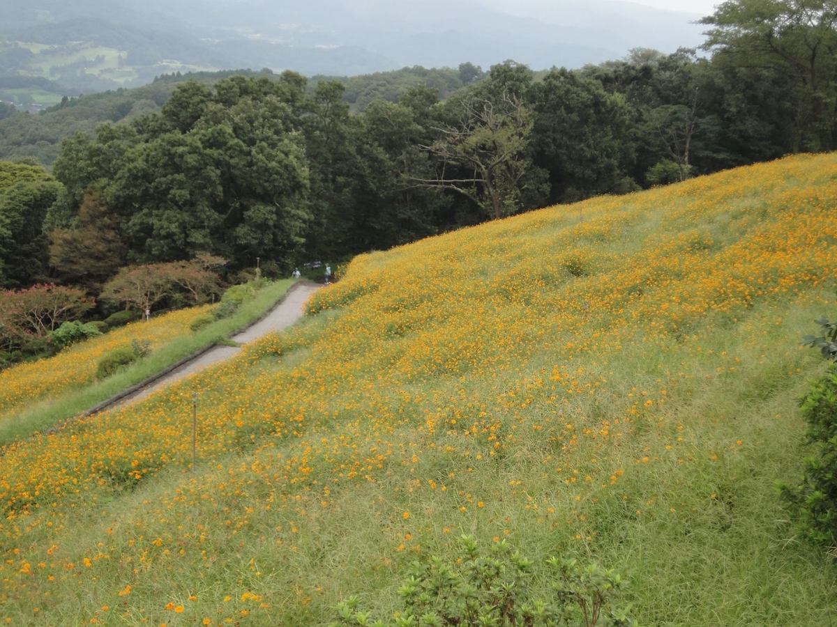 f:id:moritotora:20210901204524j:plain