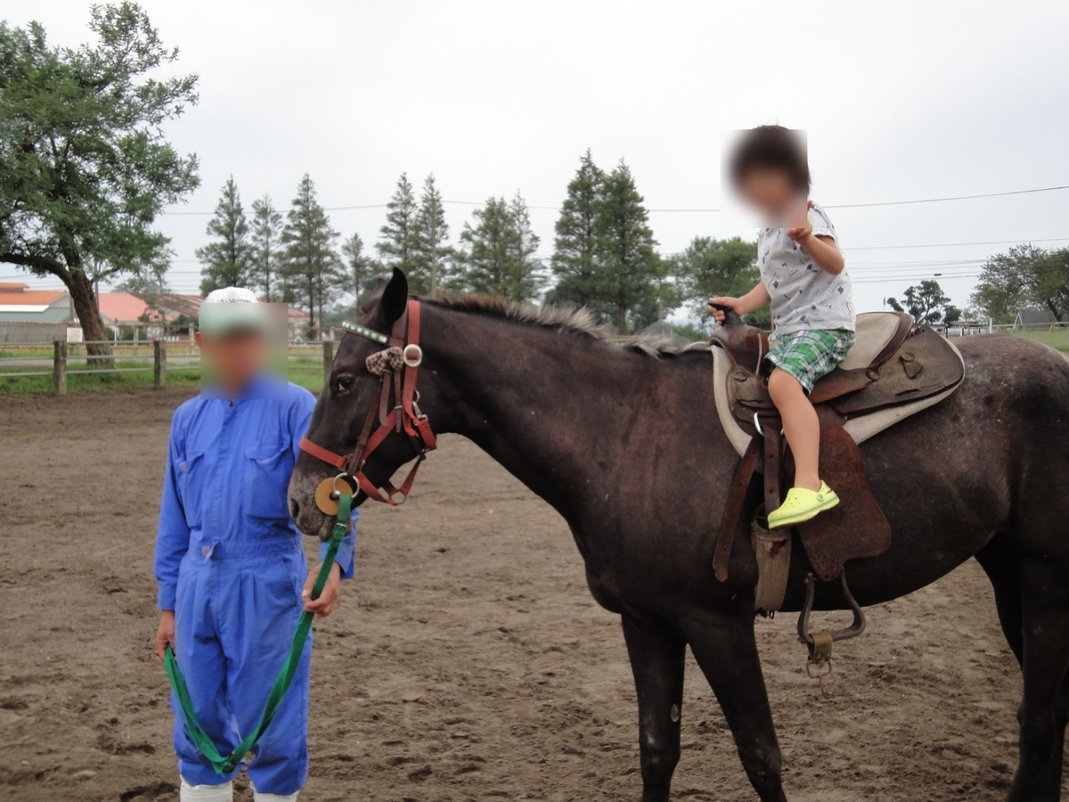 f:id:moritotora:20210901204551j:plain