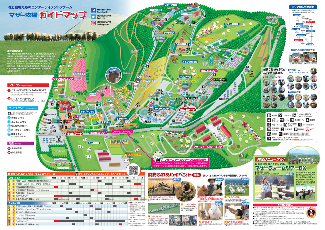 f:id:moritotora:20210902141049j:plain