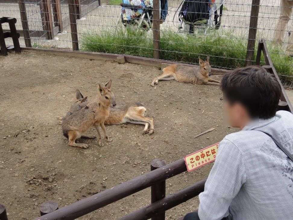 f:id:moritotora:20210902141431j:plain