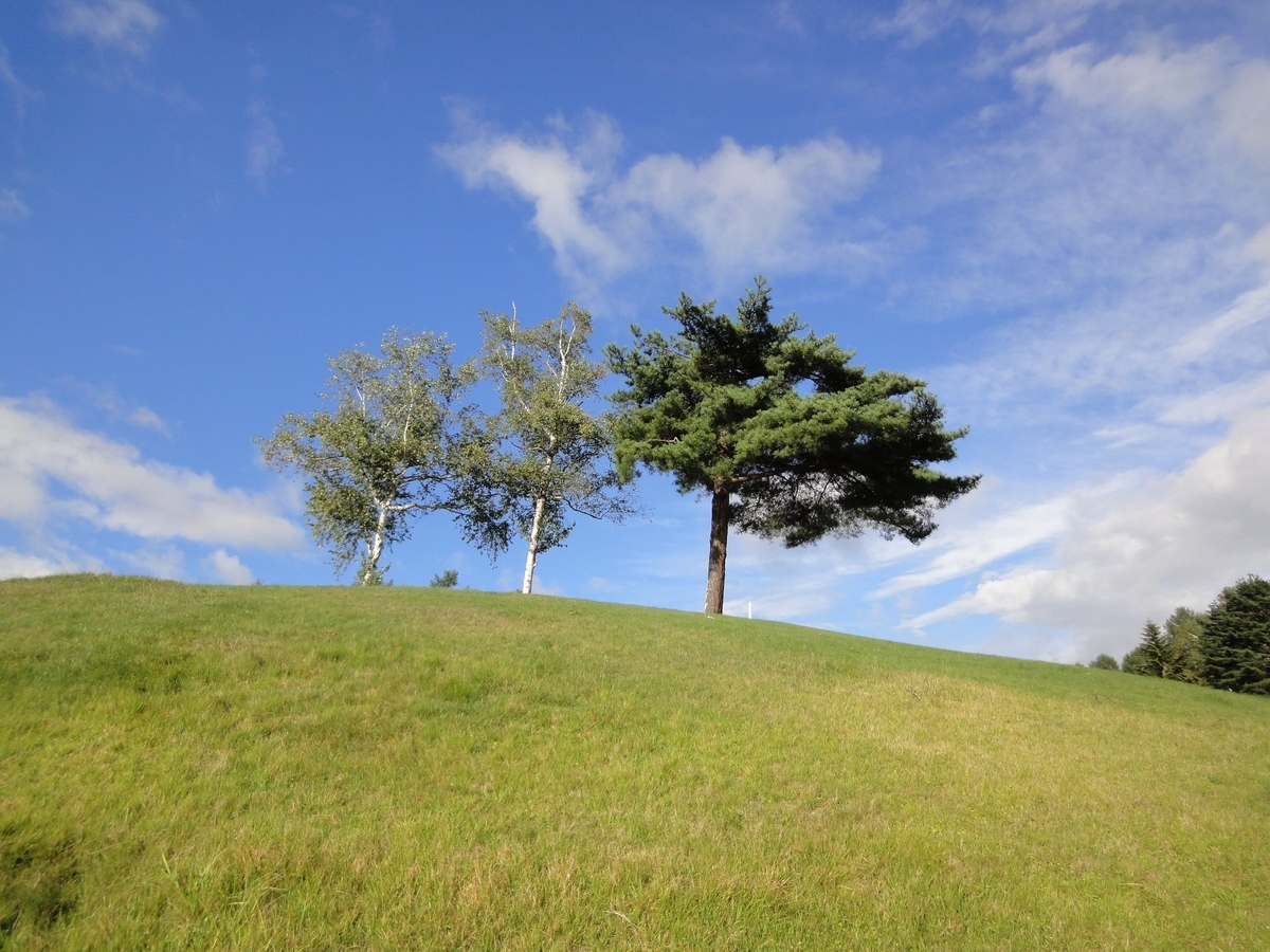 f:id:moritotora:20210902203527j:plain