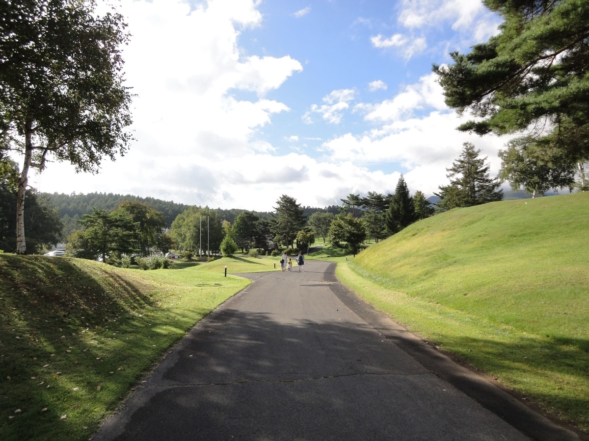 f:id:moritotora:20210902204636j:plain