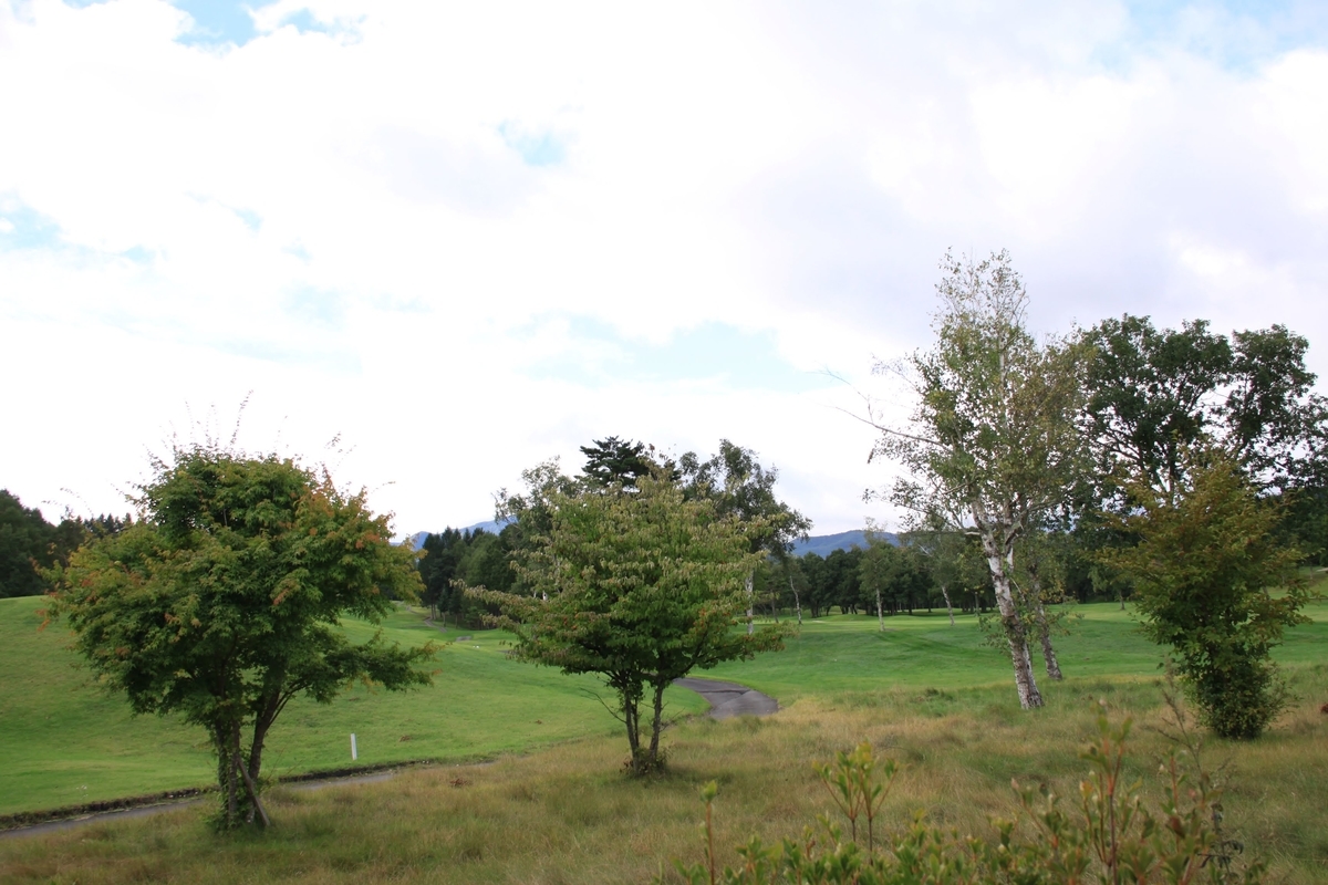 f:id:moritotora:20210902204658j:plain