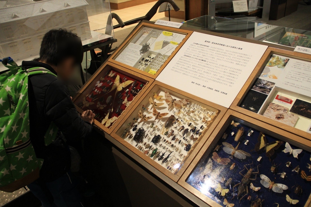 f:id:moritotora:20211007231822j:plain