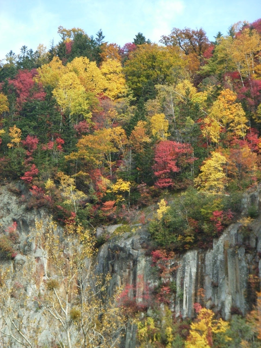 f:id:moritotora:20211014155312j:plain