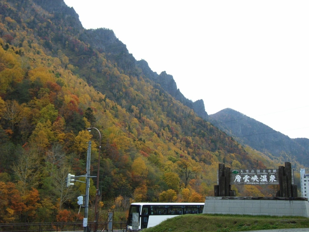 f:id:moritotora:20211014155332j:plain